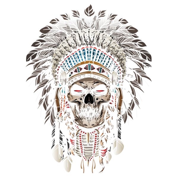 INDIAN SKULL Thumbnail