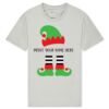 T425 Unisex Adult Cotton Jersey T-Shirt Thumbnail